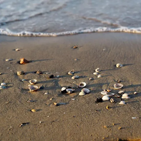 Elegant Seaview Flat With Private Terrace 비비오네