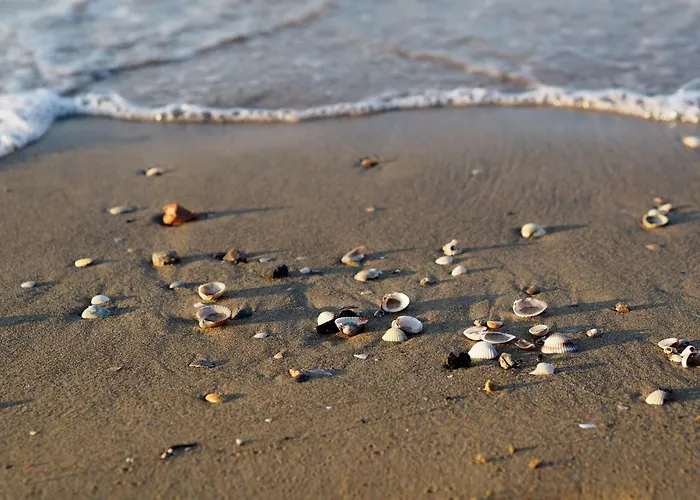 Elegant Seaview Flat With Private Terrace 比比翁